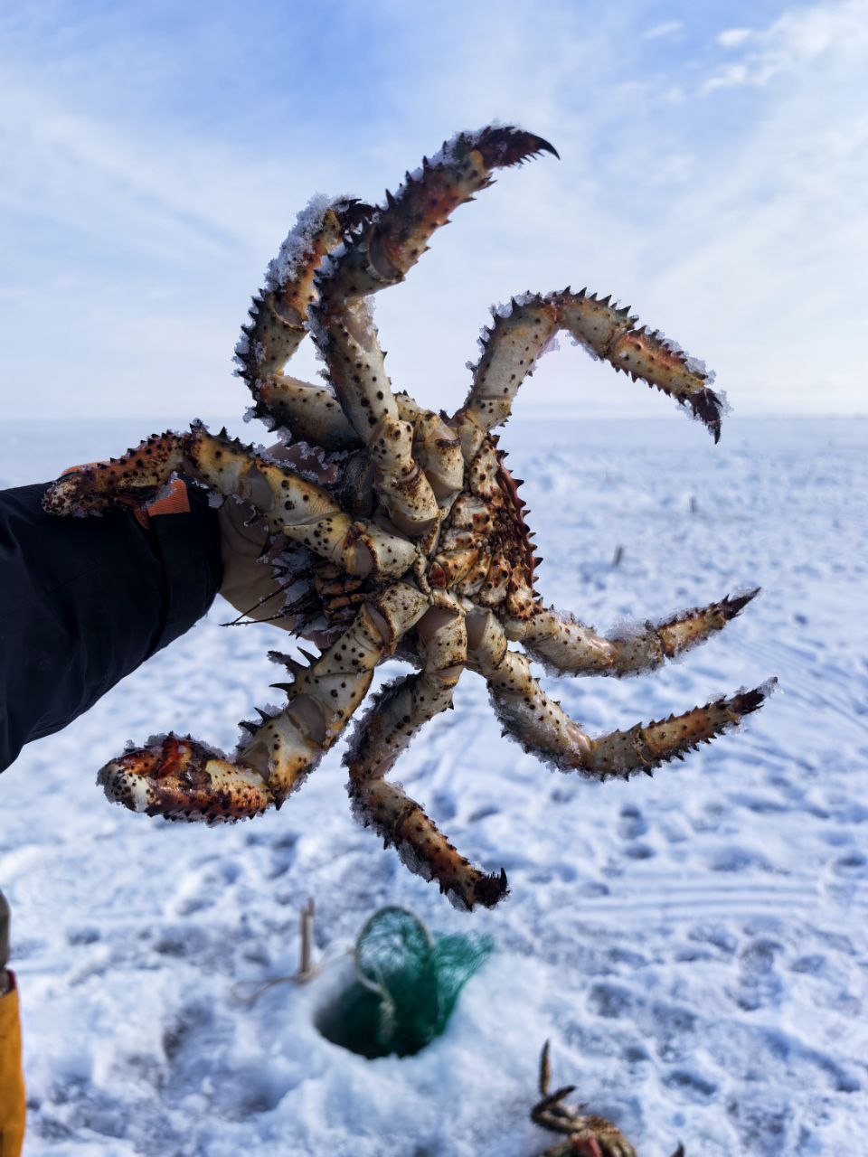 Крабалка на Сахалине